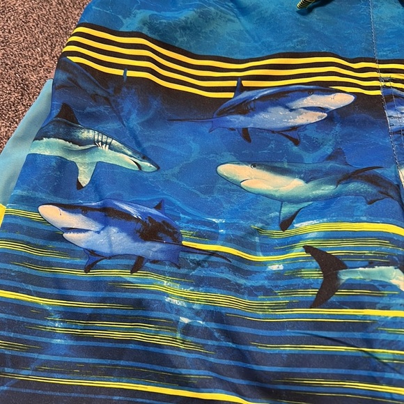 Gerry’s 2 pack swim trunks - Picture 3 of 6